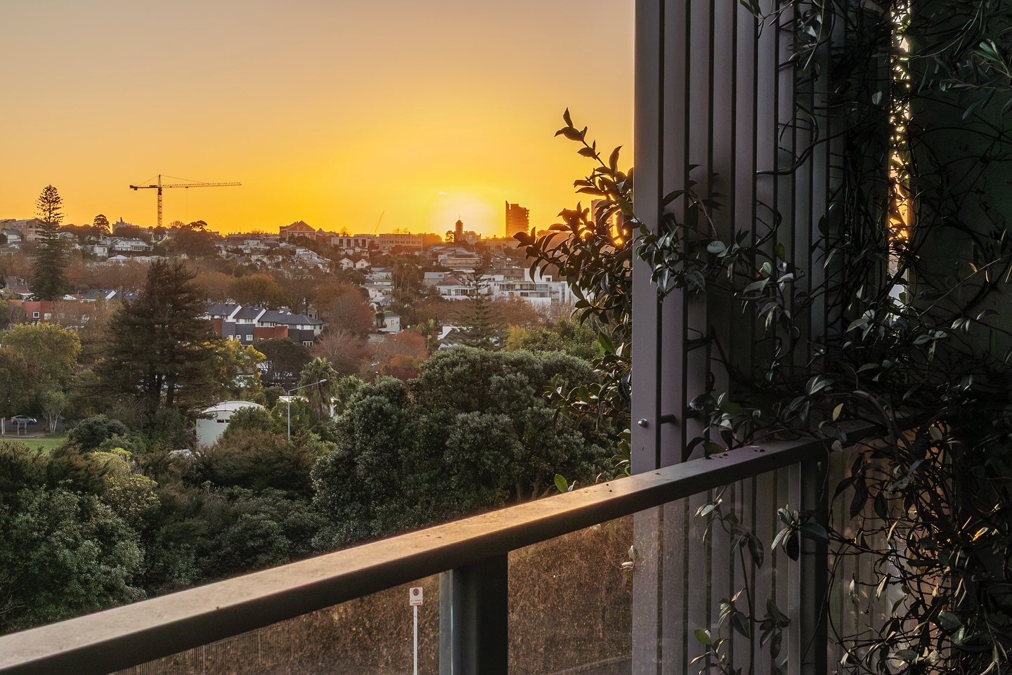 Now Selling: Urban Sanctuary. Elevated with westerly views over Freemans Bay, this substantial two-bedroom plus study apartment enjoys beautiful sunsets, transforming into a relaxing urban sanctuary during golden hour. 207/47 Union Street, #Aucklandcentral